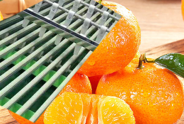 哪里有金桔选果机？厂家推荐