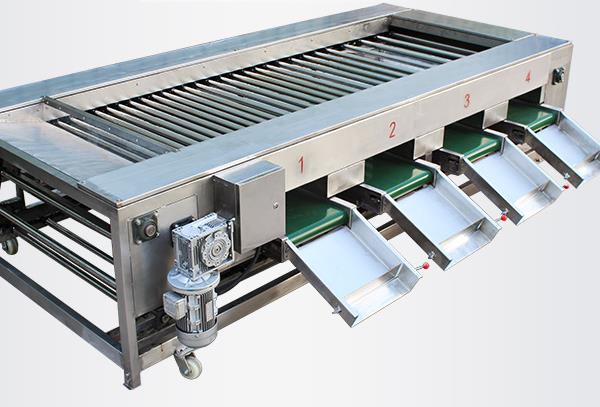 橙子选果机设备一台多少钱？价格是否走心(图2)